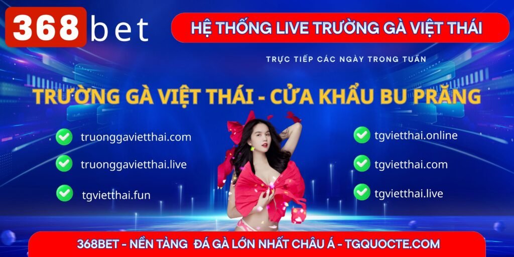 web live trực tiếp trường gà việt thái